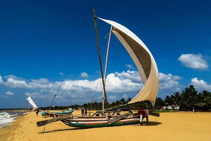 Negombo Beach - The Breeze By Glorious Holidays شقة